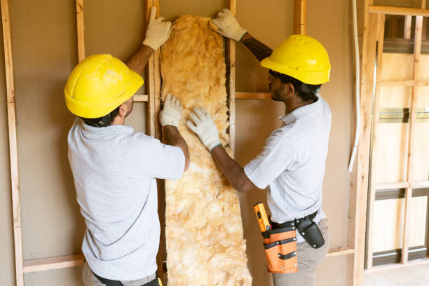 Best Insulation Replacement Services  in Old Hill, CT